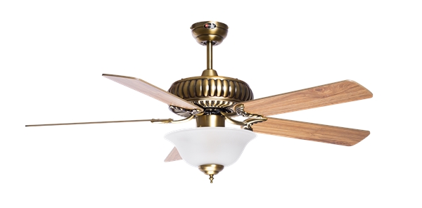 Reversible blades 