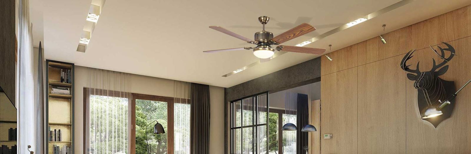 Ceiling fans